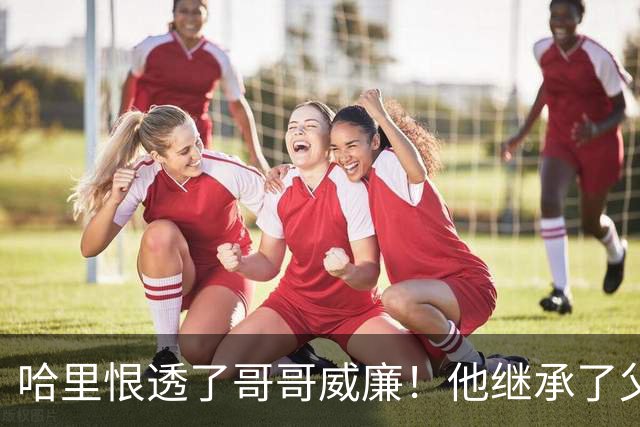 哈里恨透了哥哥威廉！他继承了父亲的王位不说，还继承了母亲的脸